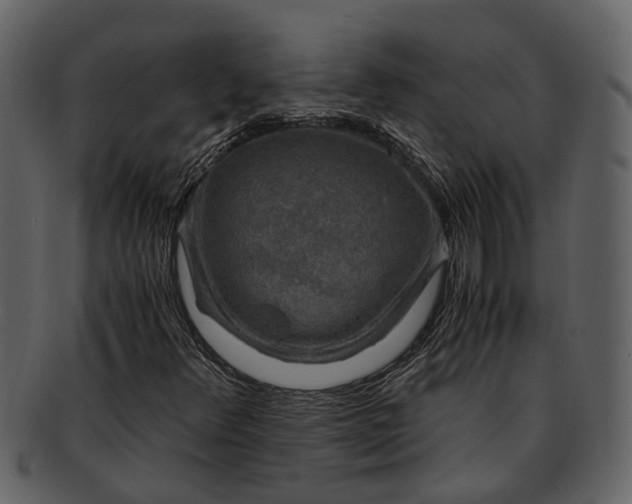 X0000093101348200710171151