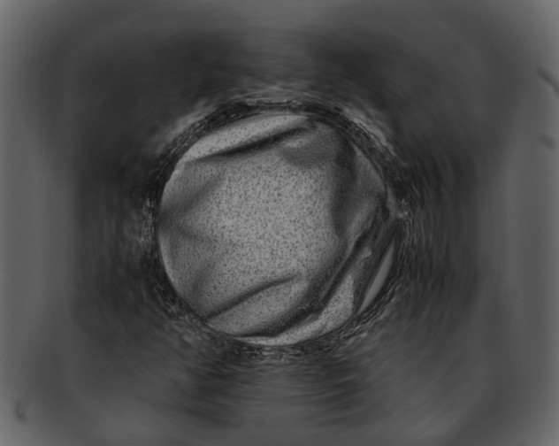 X0000093101350200710171151