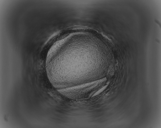 X0000093101351200710171151