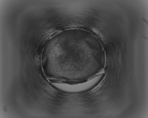 X0000093101353200710171151