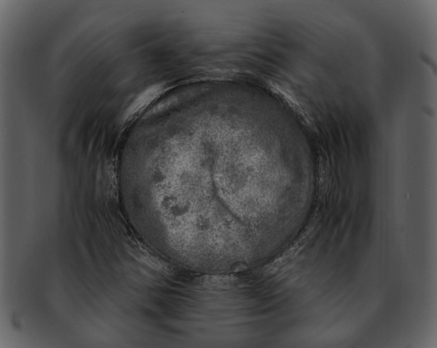 X0000093101354200710171151