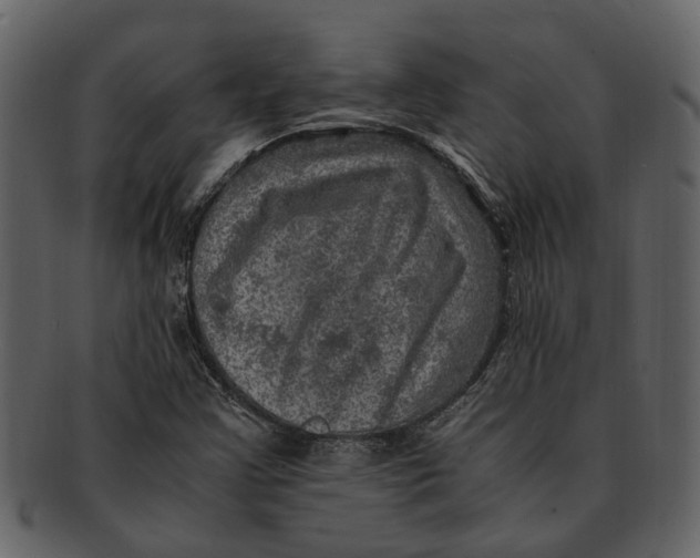 X0000093101355200710171151