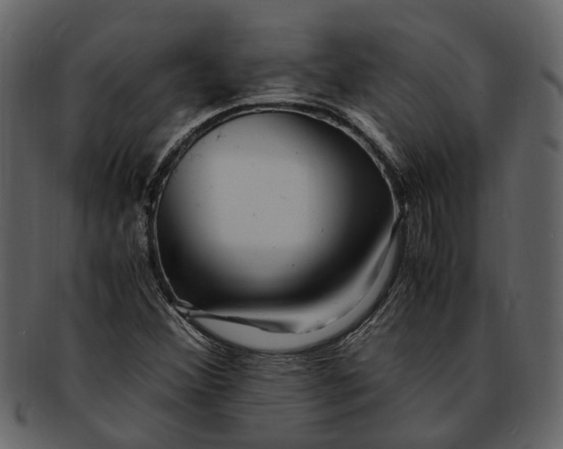 X0000093101356200710171151