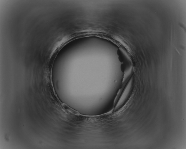 X0000093101357200710171151