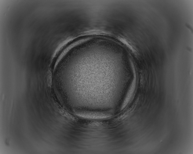 X0000093101358200710171151