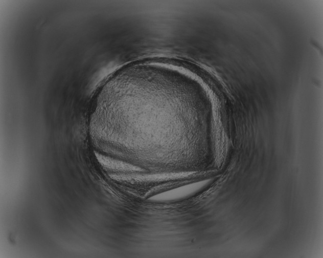 X0000093101359200710171151
