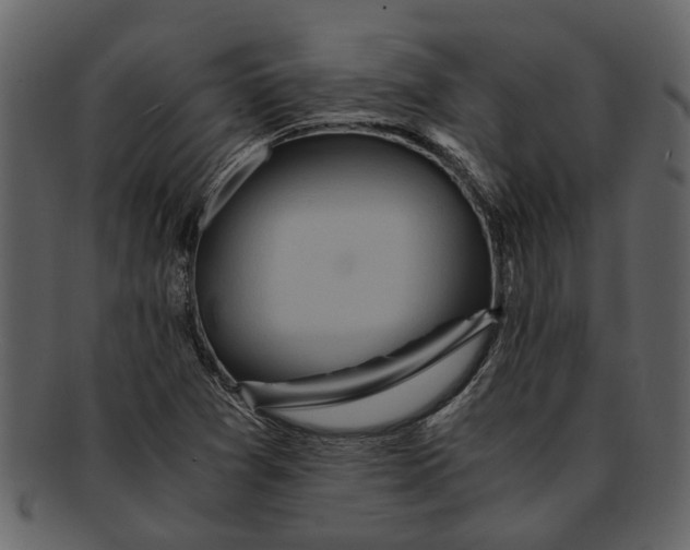 X0000093101361200710171151