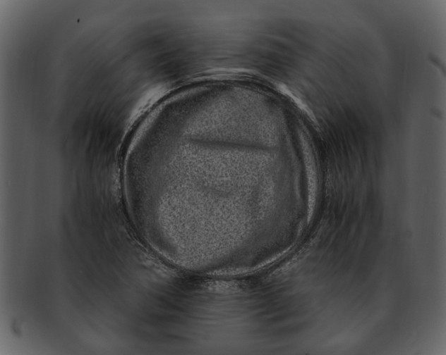 X0000093101362200710171151