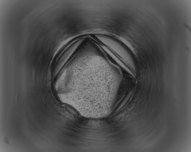 X0000093101364200710171151
