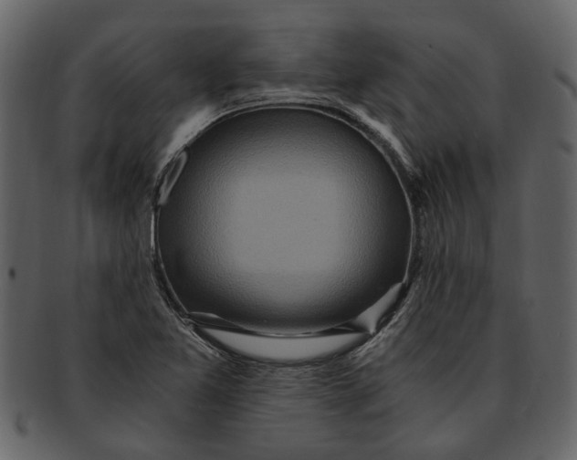 X0000093101365200710171151