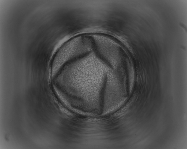 X0000093101366200710171151