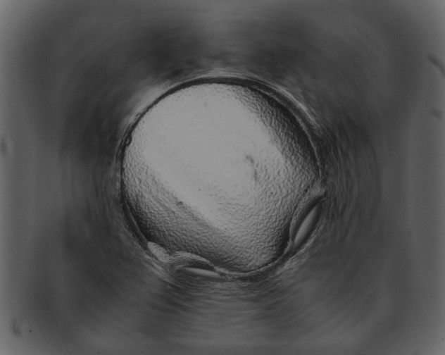 X0000093101367200710171151