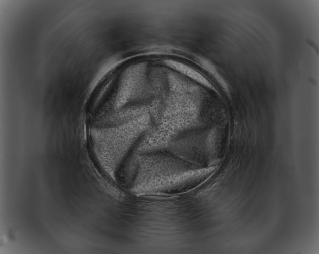 X0000093101368200710171151