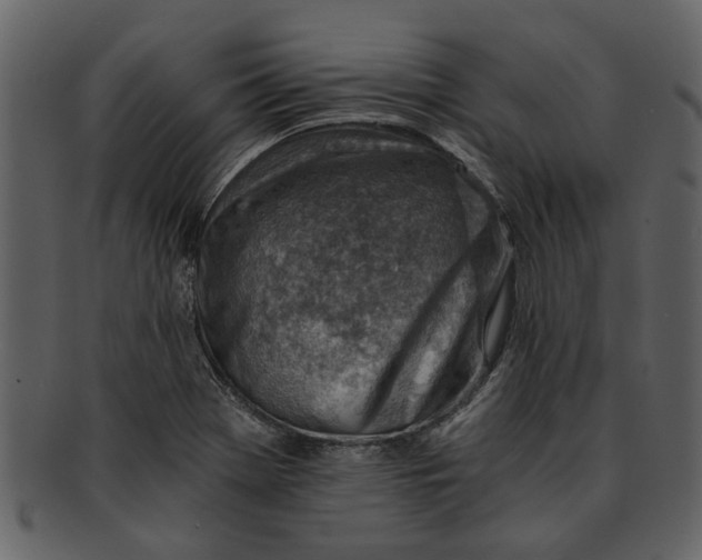 X0000093101369200710171151