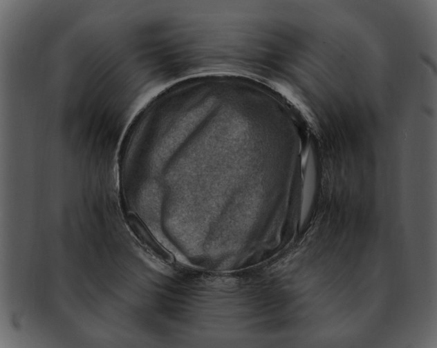 X0000093101372200710171151