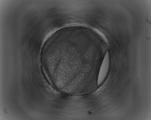 X0000093101373200710171151