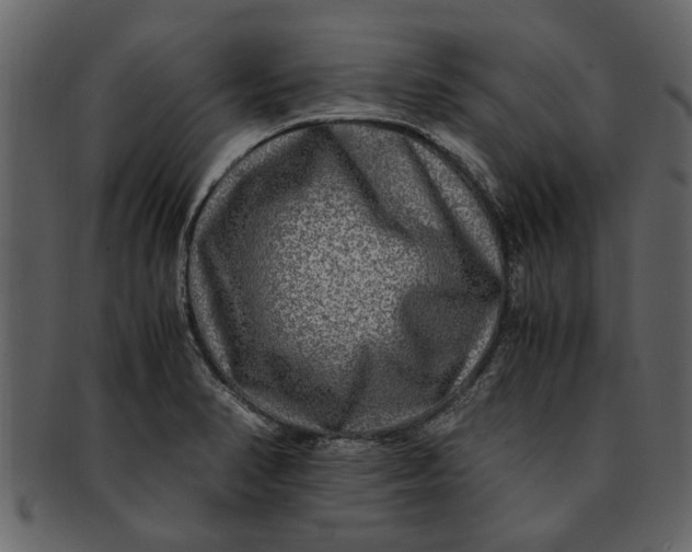X0000093101374200710171151