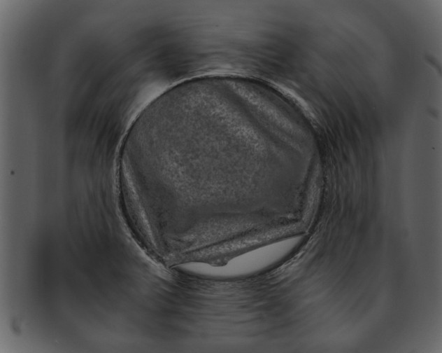 X0000093101375200710171151