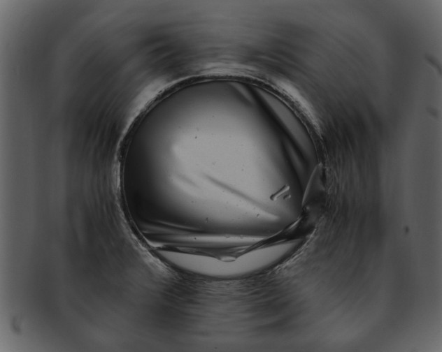 X0000093101376200710171151