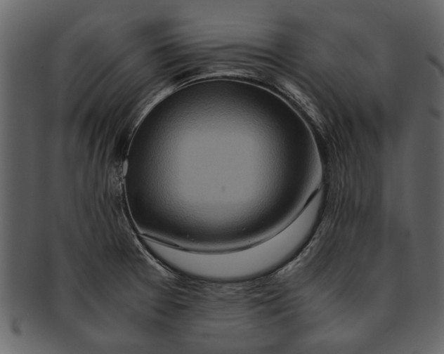 X0000093101377200710171151