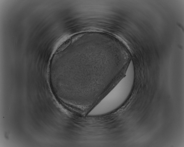 X0000093101379200710171151