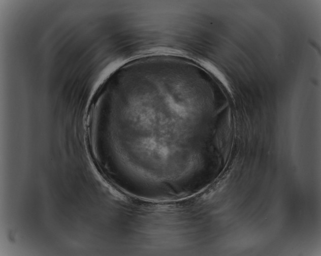 X0000093101381200710171151