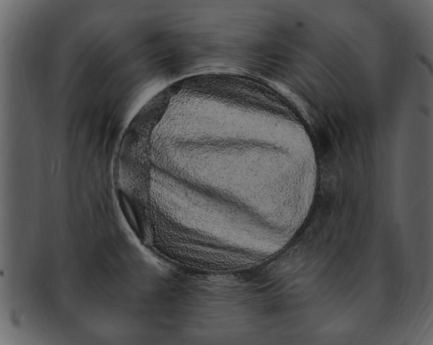 X0000093101383200710171151