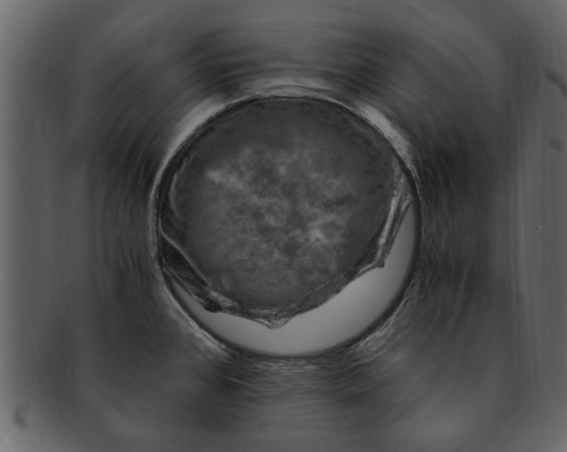 X0000093101384200710171151