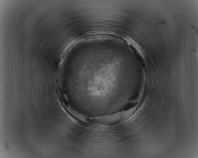 X0000093101385200710171151