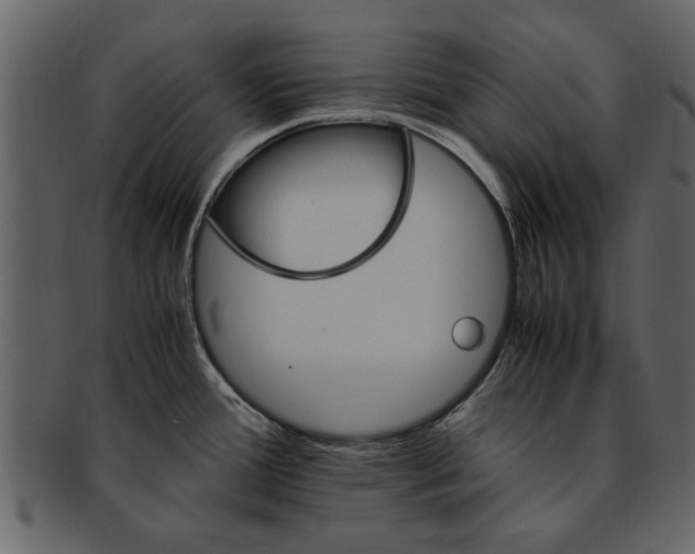 X0000093101388200710171151