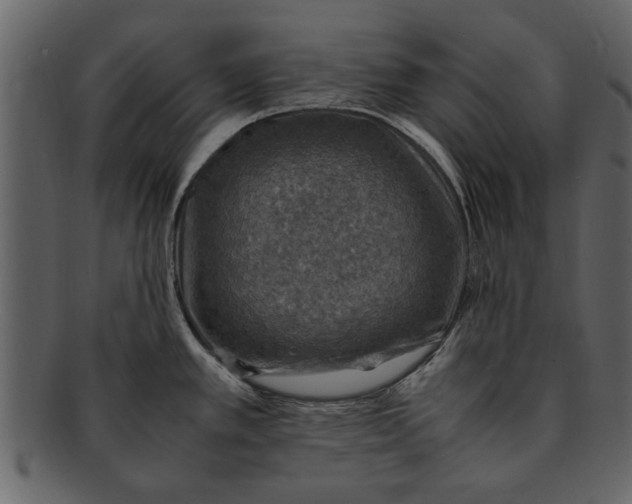 X0000093101389200710171151