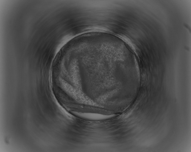 X0000093101391200710171151