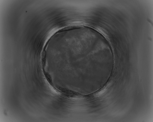 X0000093101392200710171151
