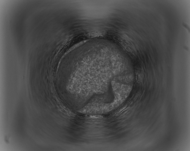 X0000093101393200710171150