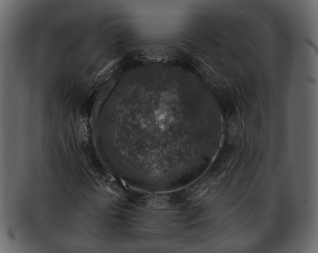 X0000093101394200710171150