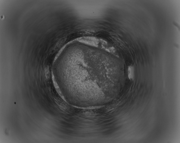 X0000093101395200710171150