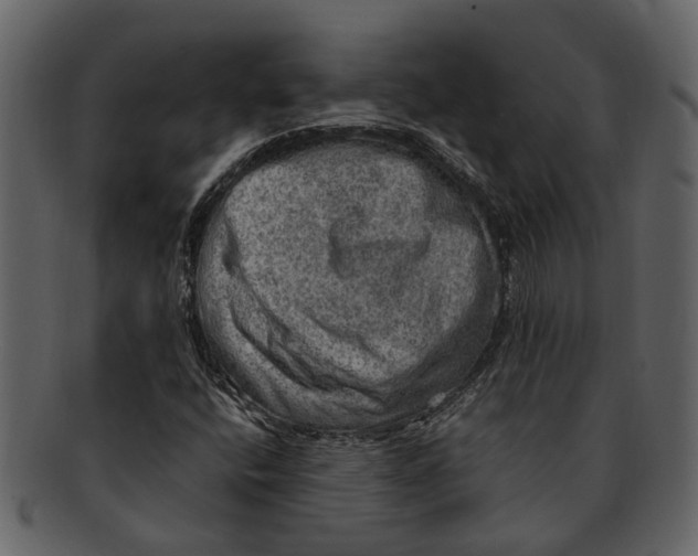 X0000093101400200710171150