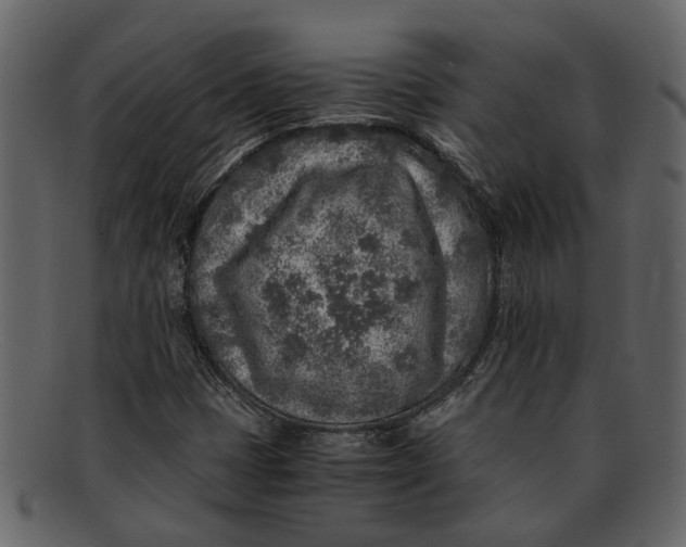 X0000093101401200710171150