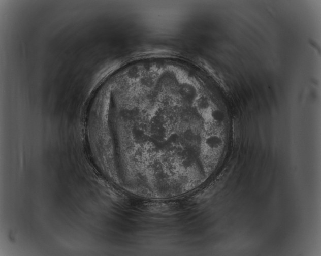 X0000093101405200710171150