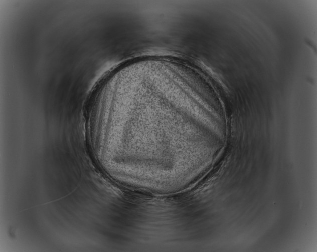 X0000093101408200710171150