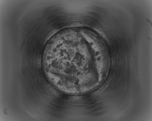 X0000093101409200710171150