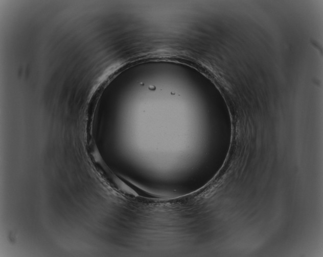 X0000093101410200710171150