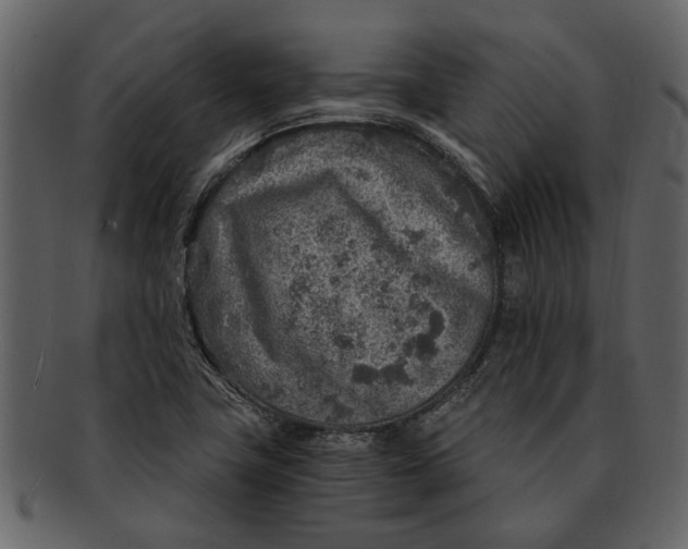X0000093101411200710171150