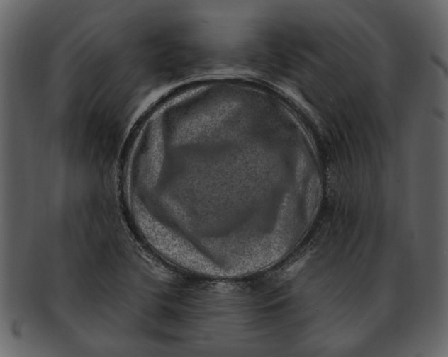 X0000093101412200710171150