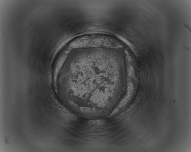 X0000093101415200710171150