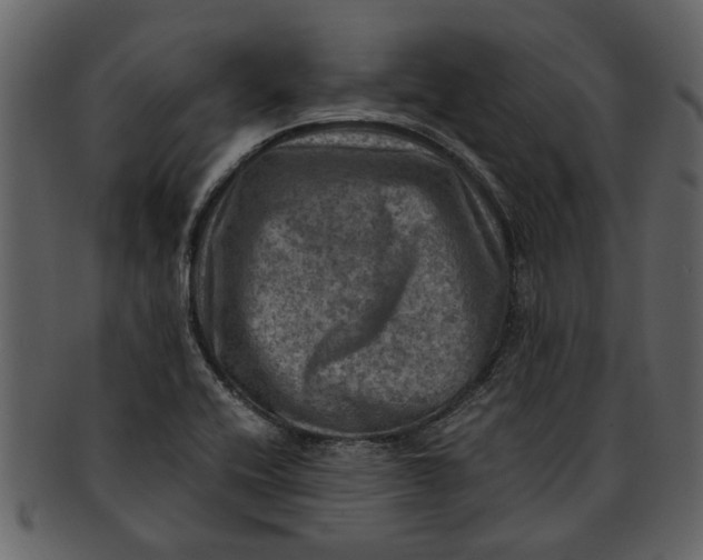 X0000093101416200710171150