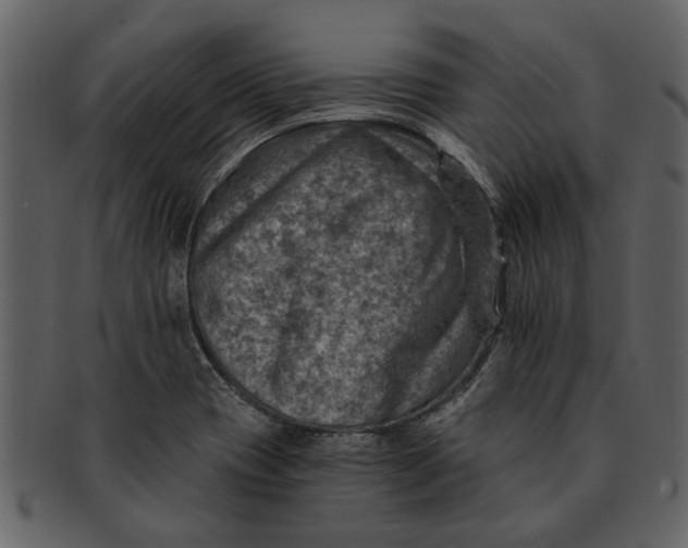 X0000093101417200710171150