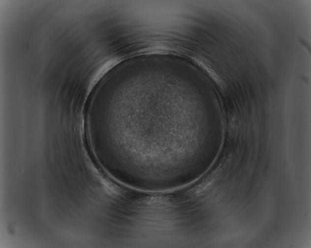X0000093101418200710171150