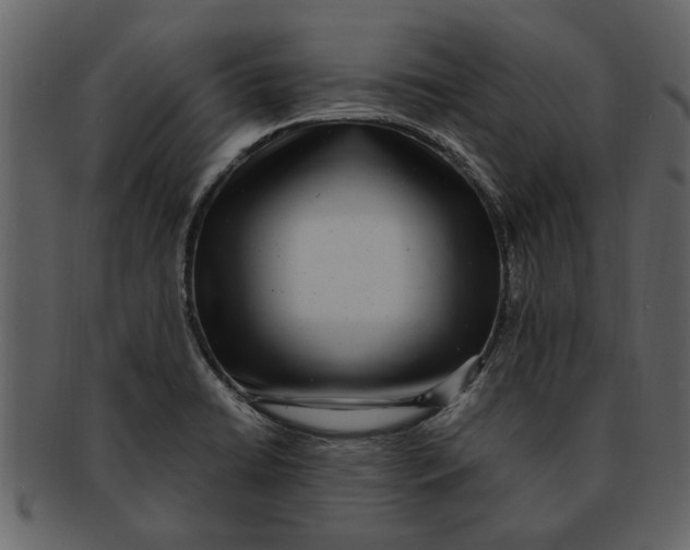 X0000093101422200710171150