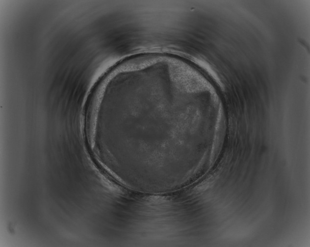 X0000093101424200710171150